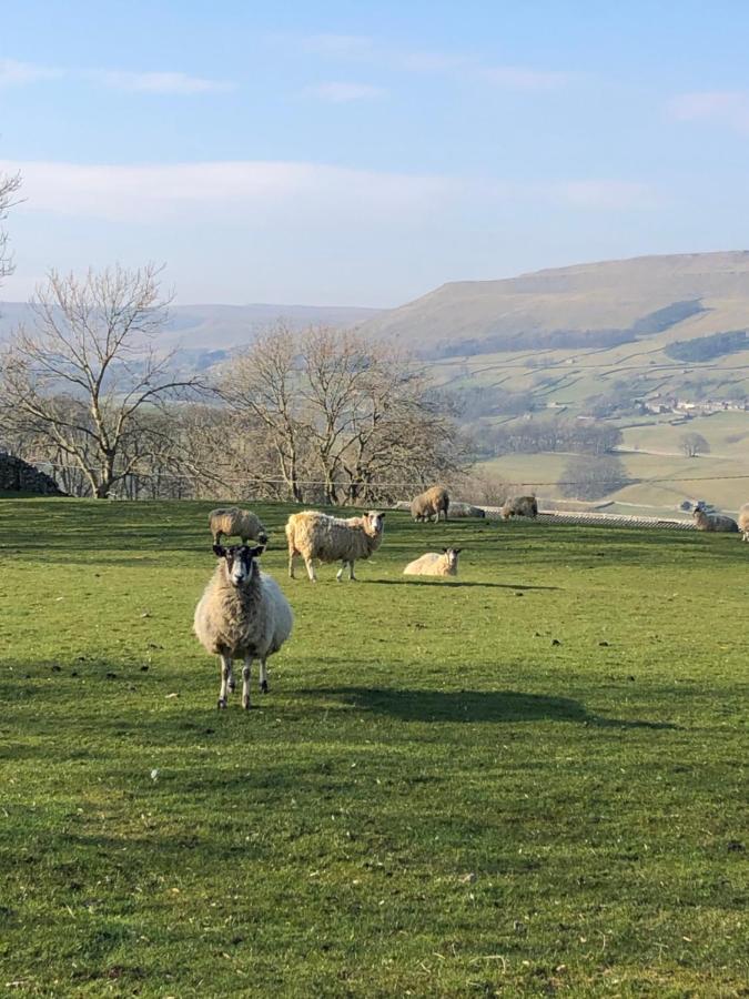 Quarry Cottage Near Hawes, Yorkshire Dales, Pet Free エクステリア 写真